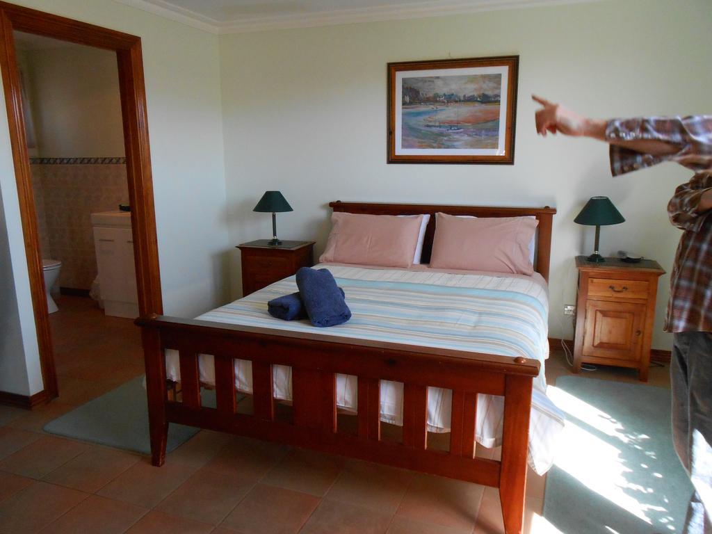 The Penguin Room - Tidelines Of Бичено Номер фото